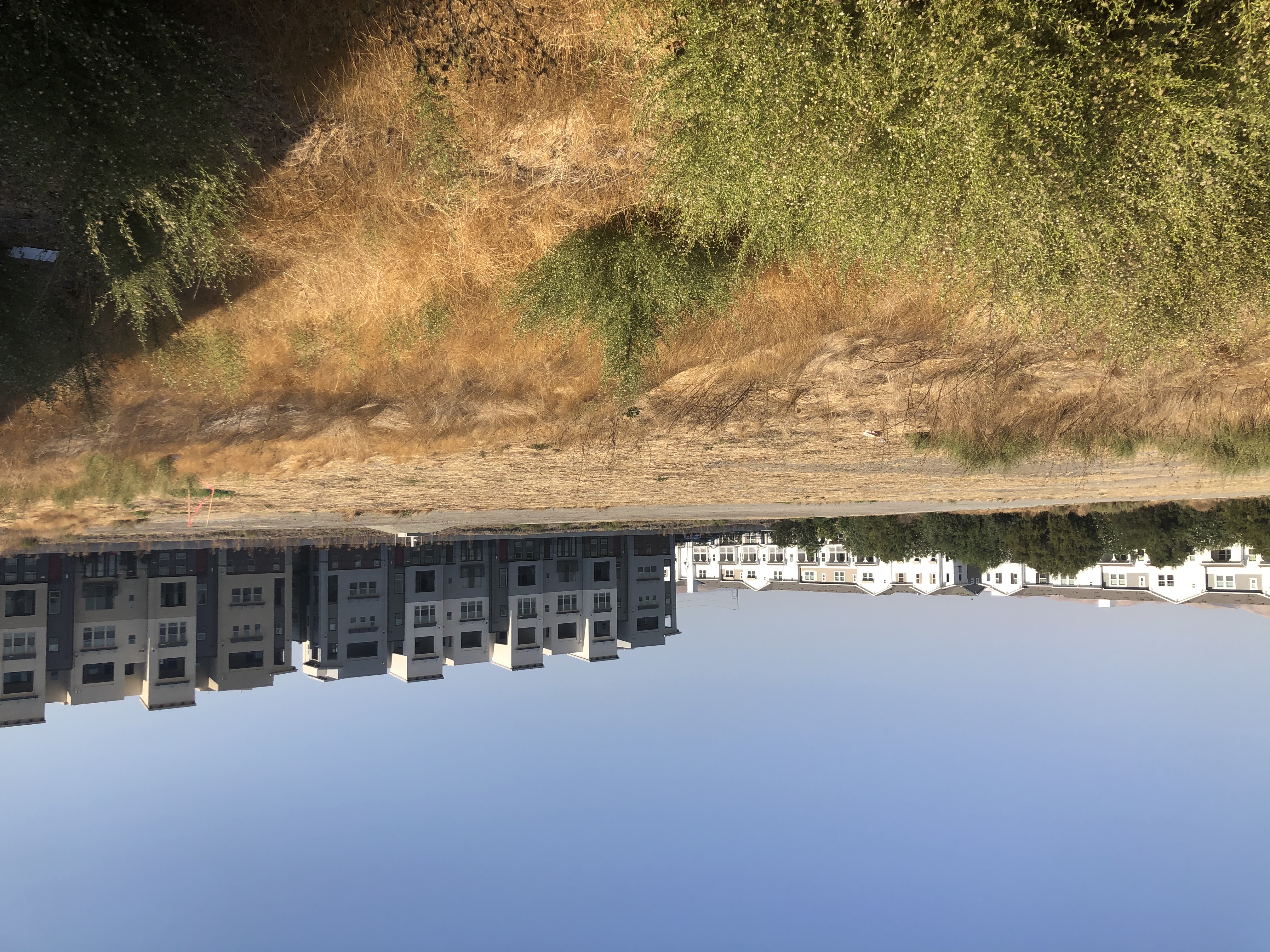 Site of future McCandless Park in Milpitas, California